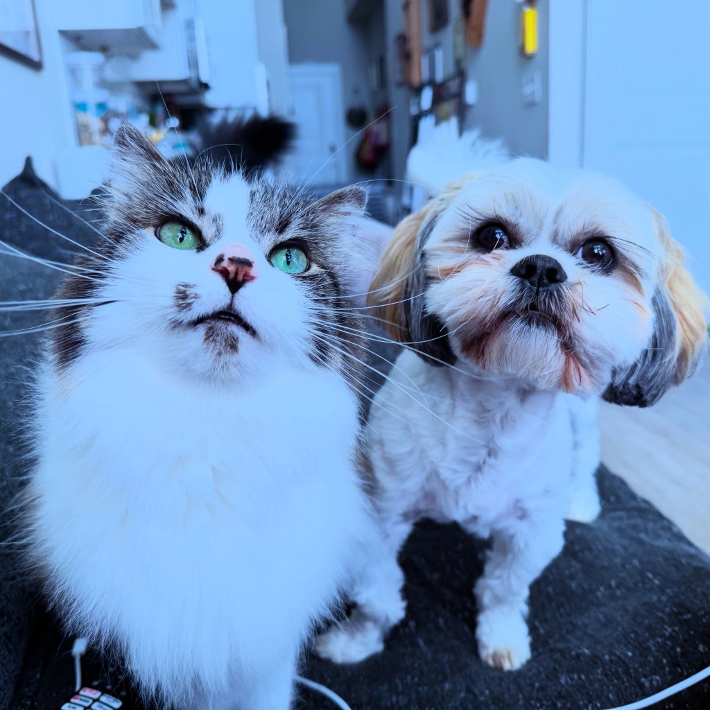 Bubba Hiram & General&nbsp;Myshkin